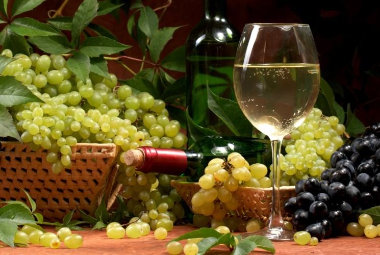 wine-and-grapes